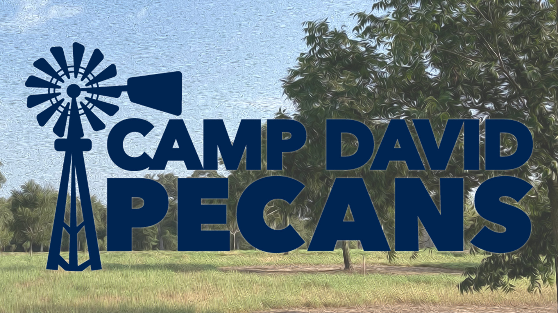 Camp David Pecans Logo